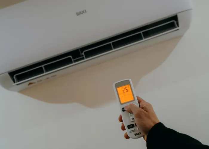 Uva Douro - Casa Santana Nyaraló São João da Pesqueira