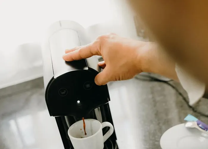 Prázdninový dům Uva Douro - Casa Santana